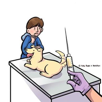 13  Consejos para que las visitas al veterinario sean menos …