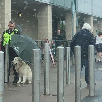 El (maravilloso) gesto de un guarda de seguridad protegiendo a …