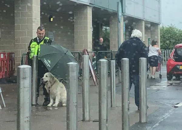 El (maravilloso) gesto de un guarda de seguridad protegiendo a un perro de la lluvia #noaparquesatuperro
