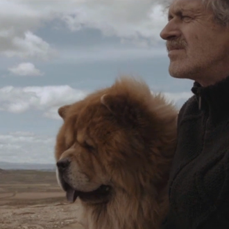 Las inspiraciones perrunas de Chrissie Hynde: un hombre y su …