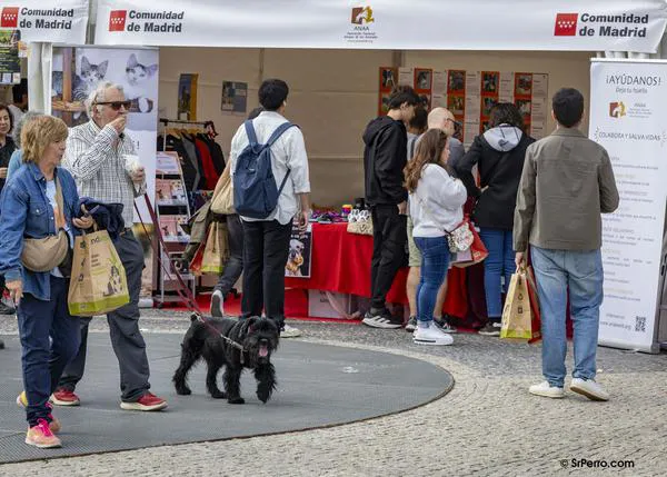 El Salón de la Adopción de la Comunidad de Madrid vuelve a Madrid Río el fin de semana del 24 y 25 de octubre