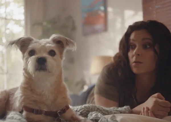 Olivia Munn y Rachel Bloom con sus canes adoptados y otros ejemplos del 