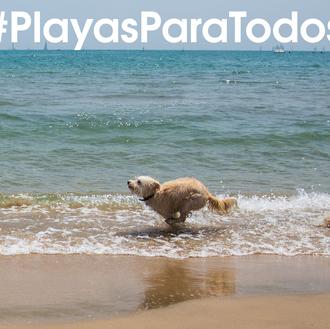 Concentraciones en Málaga, Cádiz y Palma de Mallorca para reclamar …