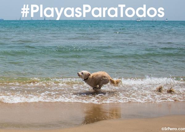 Concentraciones en Málaga, Cádiz y Palma de Mallorca para reclamar el acceso de los perros a la playa: #PlayasParaTodos