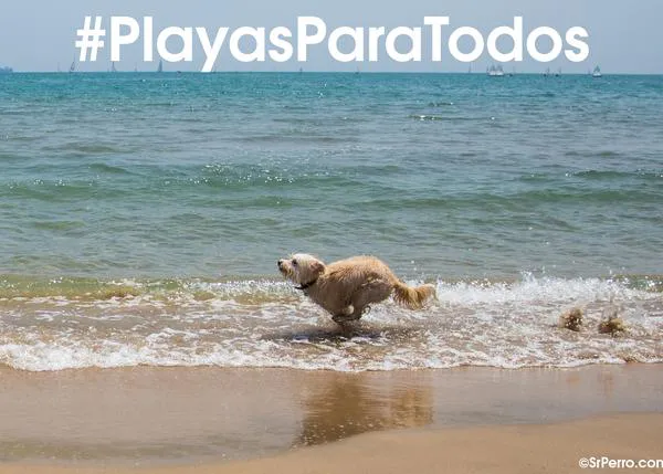 Concentraciones en Málaga, Cádiz y Palma de Mallorca para reclamar el acceso de los perros a la playa: #PlayasParaTodos