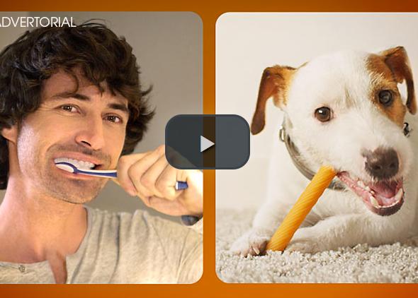 Ultima INTERDENTAL + limpia los dientes de los canes y genera sonrisas en los humanos 