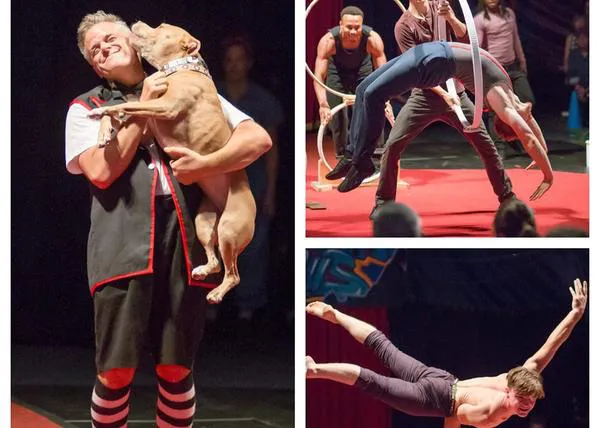 Un circo diferente, solidario y perruno: pit bulls adoptados y la lucha contra las peleas de perros