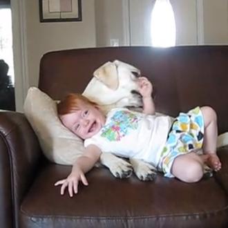 Pequeñas píldoras de felicidad: bebés y perros en acción