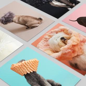 El cono de la vergüenza más bello y solidario: los …