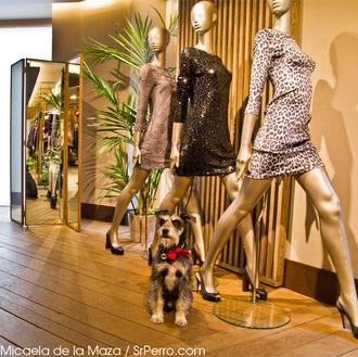 Un paseo perruno por el Flagship Store de Adolfo Dominguez