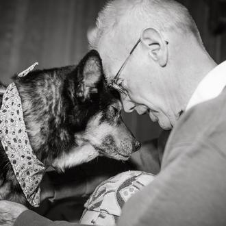 Adopta y cambiarás el mundo perro a perro: la historia …