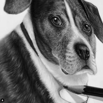 Espectaculares e hipnóticos vídeos de los dibujos perrunos hiperrealistas de …