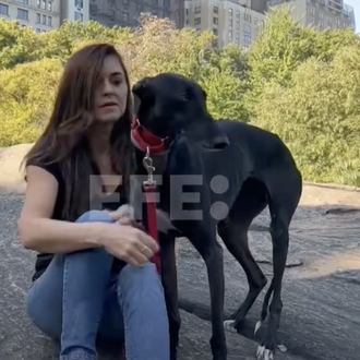 SOS Galgos lleva hasta Nueva York la protesta contra la …