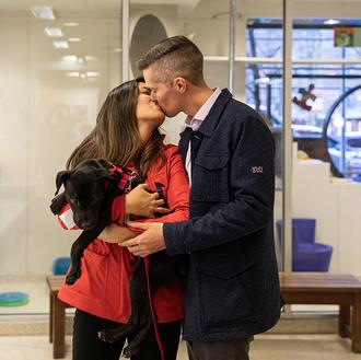 Doble sorpresa al visitar una protectora: una adopción inesperada y …