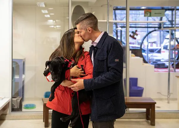 Doble sorpresa al visitar una protectora: una adopción inesperada y una declaración de amor 