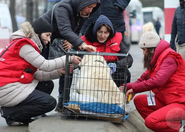 Atención veterinaria gratuita para los animales de refugiados ucranianos en 38 países europeos