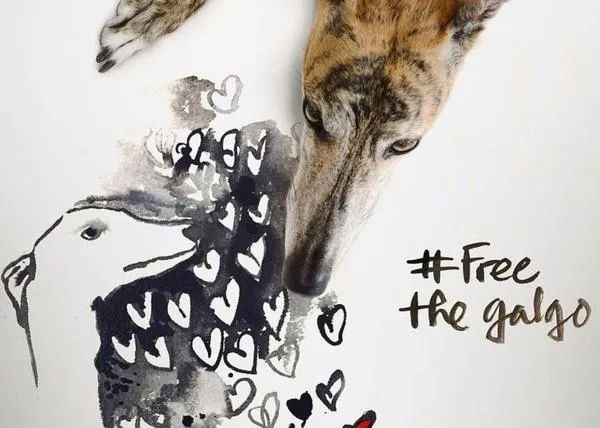 El 1 de febrero es el #DíaDelGalgo: las redes sociales se vuelcan para concienciar sobre su maltrato, #FreeTheGalgo