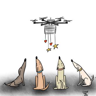 Hoy podrían intentar el rescate de los perros de La …