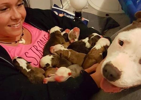 Una perra rescatada deposita, uno a uno, sus 11 cachorros sobre el regazo de su nueva humana