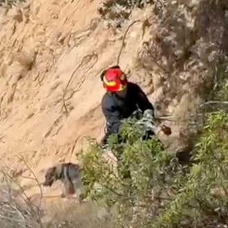 Los Bomberos de Madrid rescatan a un perro que se …