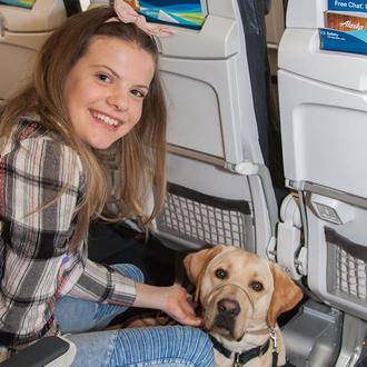 Futuros perros guía entrenan en un aeropuerto y suben al …