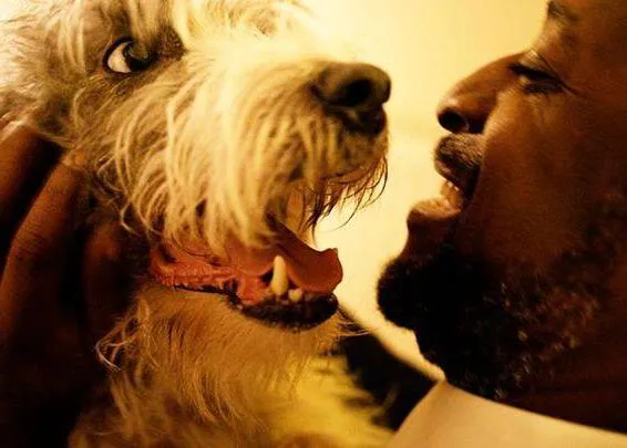 Tres historias de personas y sus amores incondicionales: un vídeo que emociona para fomentar la adopción de perros