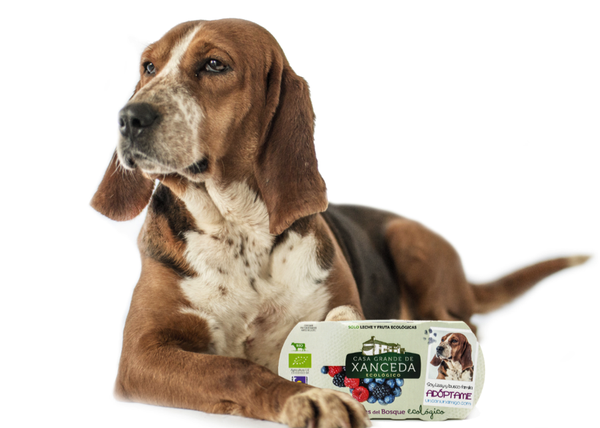 ¿Se puede fomentar la adopción de perros con yogures ecológicos? Desde Galicia nos demuestran que sí