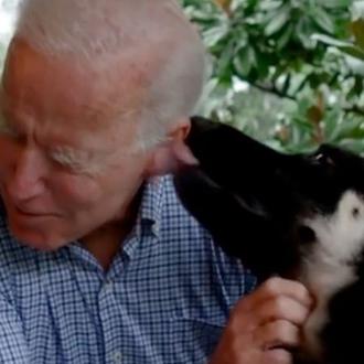 Fiesta solidaria para celebrar la Perri-Investidura de Major Biden, el …