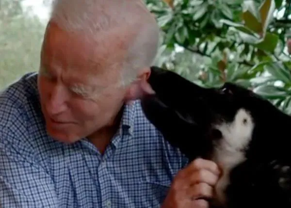 Fiesta solidaria para celebrar la Perri-Investidura de Major Biden, el primer perro adoptado en vivir en la Casa Blanca