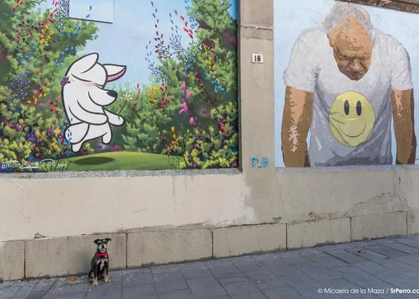 Un paseo por el mejor arte urbano en Madrid: Muros Tabacalera