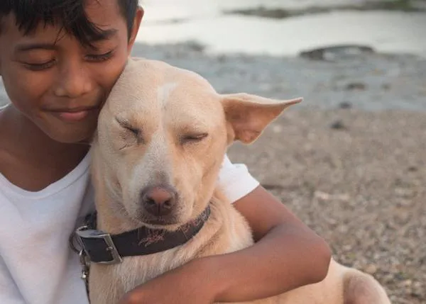 Tras una masiva campaña internacional, Bali da un paso clave contra el comercio y venta de carne de perro