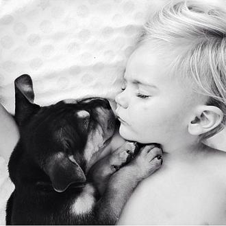 Las siestas más divinas: un cachorro y un niño, nuevas …