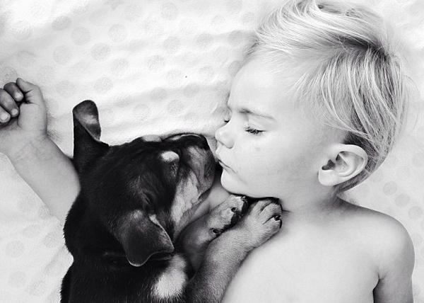 Las siestas más divinas: un cachorro y un niño, nuevas estrellas de instagram
