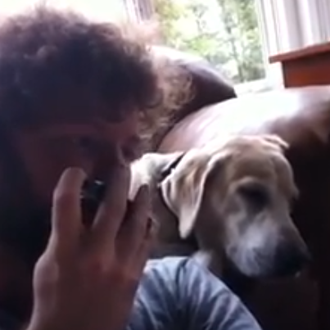 El cantante de blues... canino