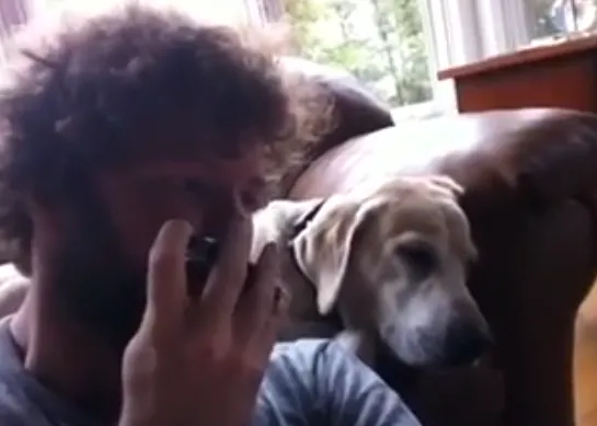 El cantante de blues... canino
