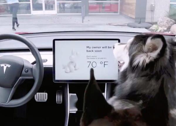 Elon Musk piensa en la seguridad de los perros en los coches Tesla: llega el 