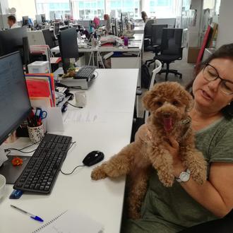 Buen humor, solidaridad y tranquilidad: la experiencia de Royal Canin …