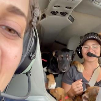 El piloto de los cachorrotes, el piloto que ha dedicado …