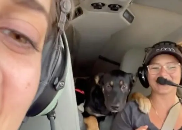 El piloto de los cachorrotes, el piloto que ha dedicado su vida a rescatar perros para que puedan ser adoptados