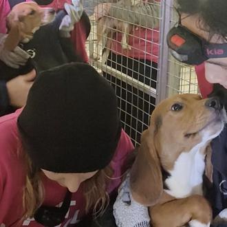 La justicia absuelve (por ahora) a los activistas que rescataron …