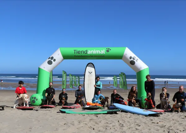 Perros surfeando por una buena causa: así ha sido el primer Campeonato Europeo de Surf Canino