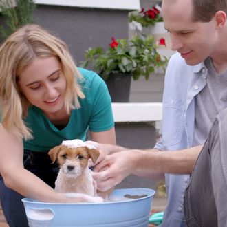Un día en la vida de un cachorrote locuelo, narrado …