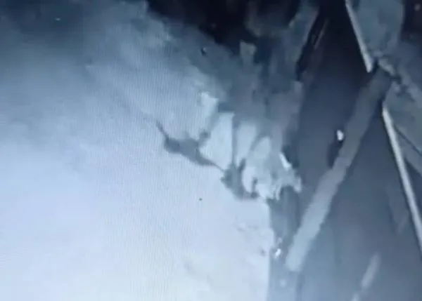 Así (no) se abandona a un perro, 
