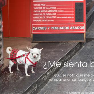 ¿Sabes cuál es la pregunta más frecuente de los humanos …