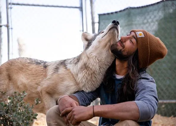 Los lobos que sanan humanos: los humanos que salvan a los lobos
