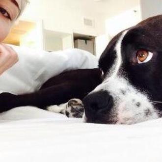 Miley Cyrus se despide de su perra Mary Jane, con …