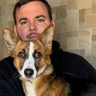 La protectora Animal Rescue pide ayuda urgente: se han quedado …