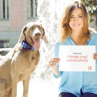#Perrosaltren: Sandra Barneda impulsa una petición para que RENFE deje …