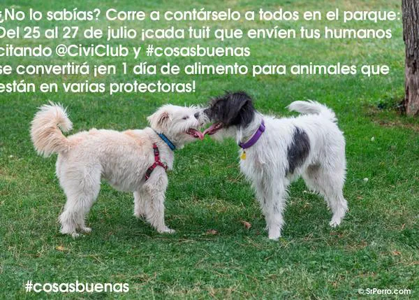  Civiclub, Twitter y Hawkers se unen para conseguir 20.000 días de comida para animales sin hogar, ¡con nuestra ayuda!