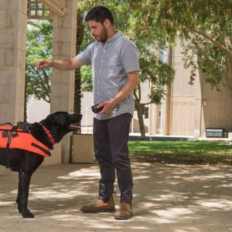 Un arnés especial nos permitiría comunicarnos con los perros sin …